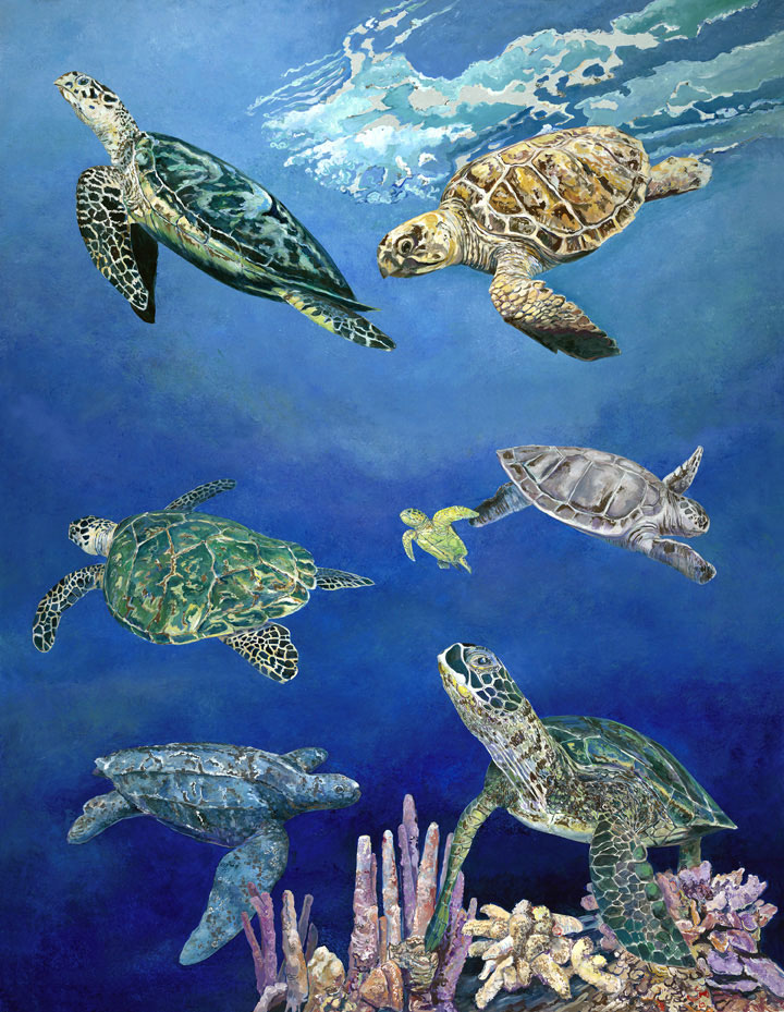 Majestic Sea Turtles Fine Art Print